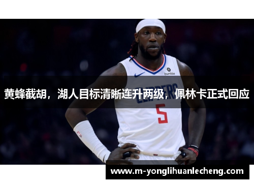 黄蜂截胡，湖人目标清晰连升两级，佩林卡正式回应